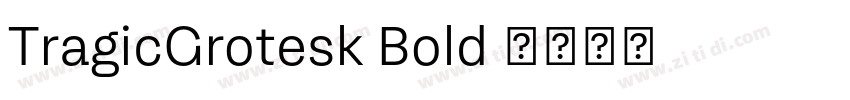 TragicGrotesk Bold 字体转换